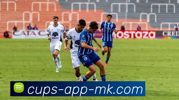 MK体育服务体系